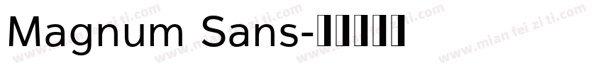 Magnum Sans字体转换